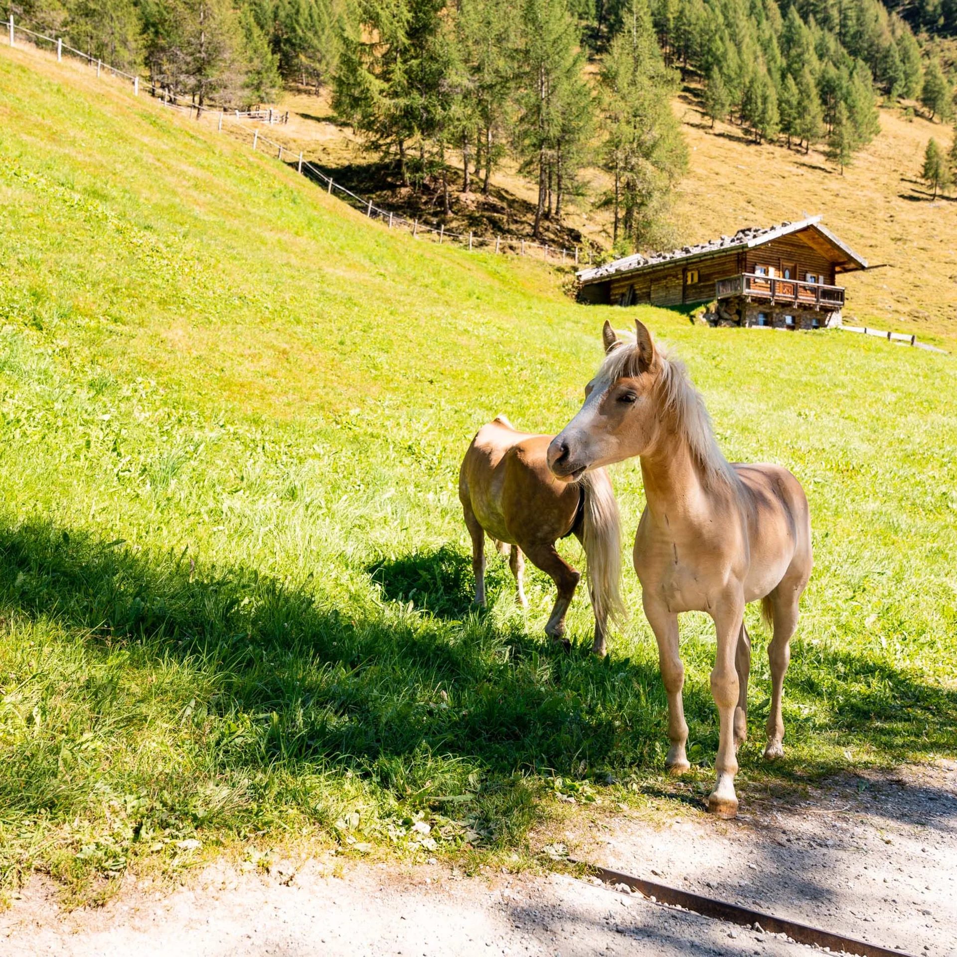 Il vostro hotel per famiglie a Maranza, tra giochi, scoperte e tempo condiviso