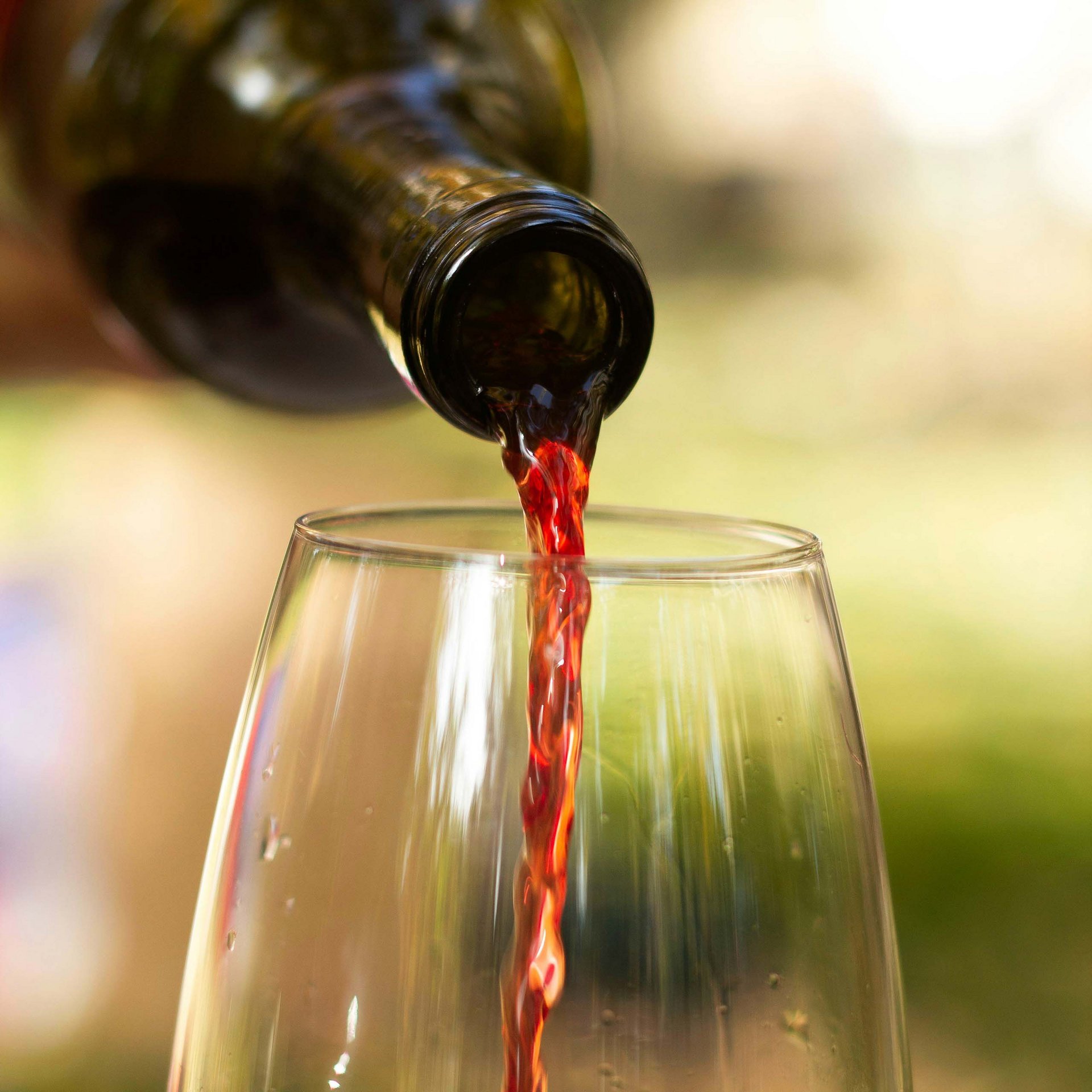 Degustazione di vini e pernottamentoal Sonnenberg: cin cin!