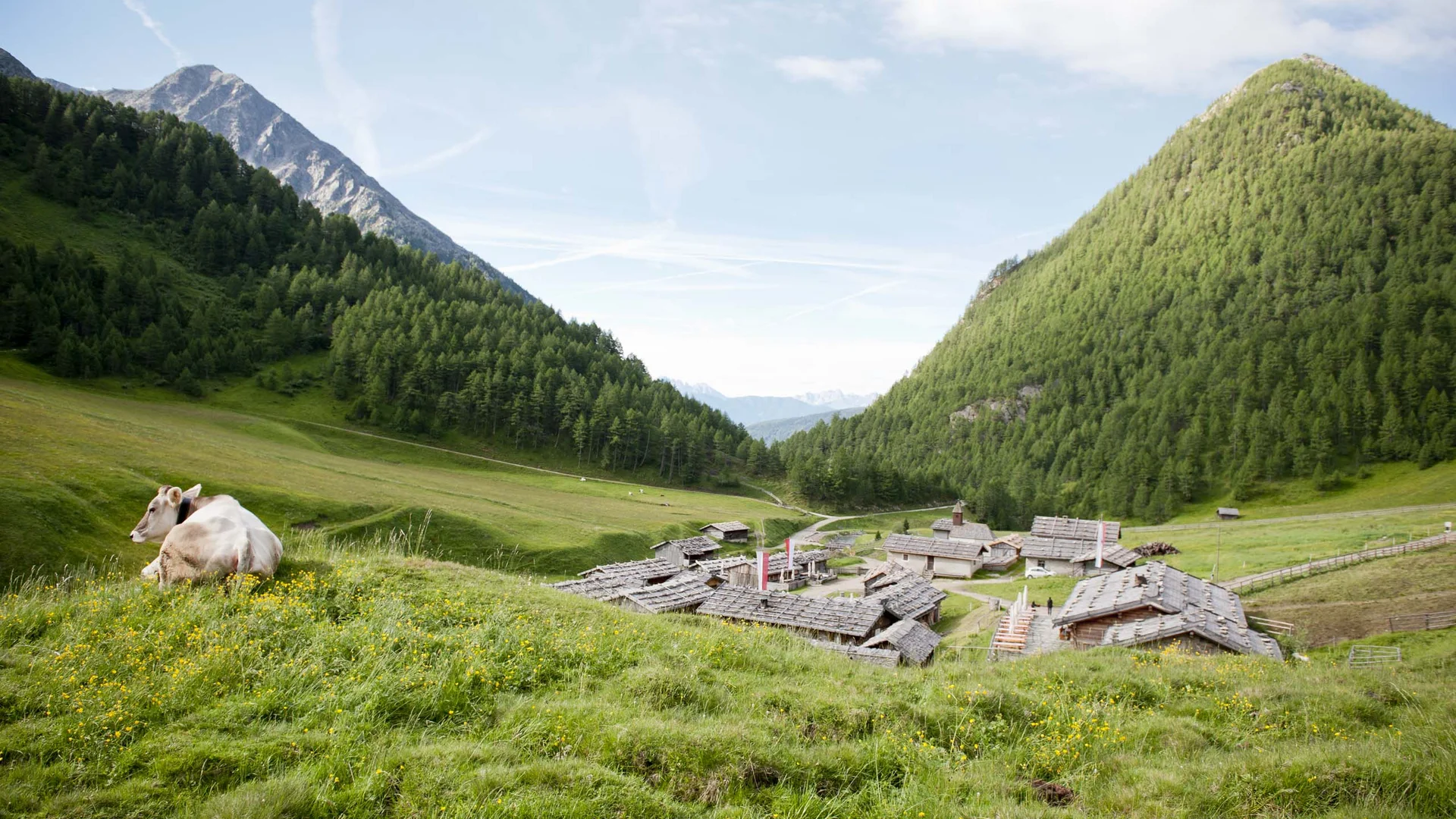 Active around this hiking hotel in Val Pusteria/Pustertal