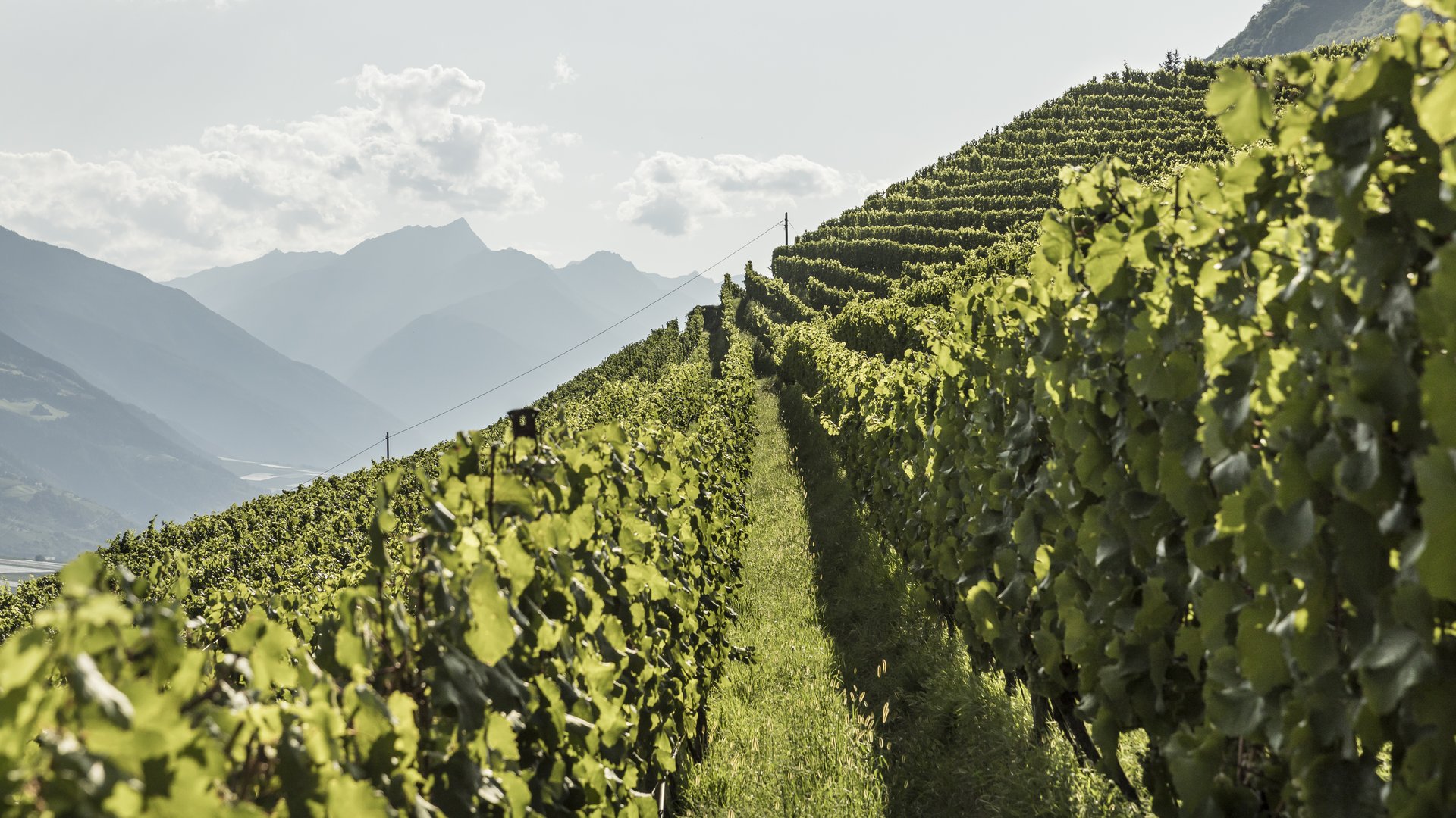 Degustazione di vini e pernottamentoal Sonnenberg: cin cin! Degustazione di vini e pernottamentoal Sonnenberg: cin cin!