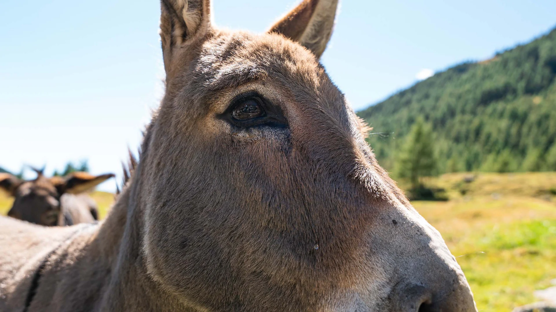 Il vostro hotel per famiglie a Maranza, tra giochi, scoperte e tempo condiviso