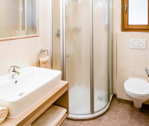 Bathroom with Shower in the Holiday Apartment