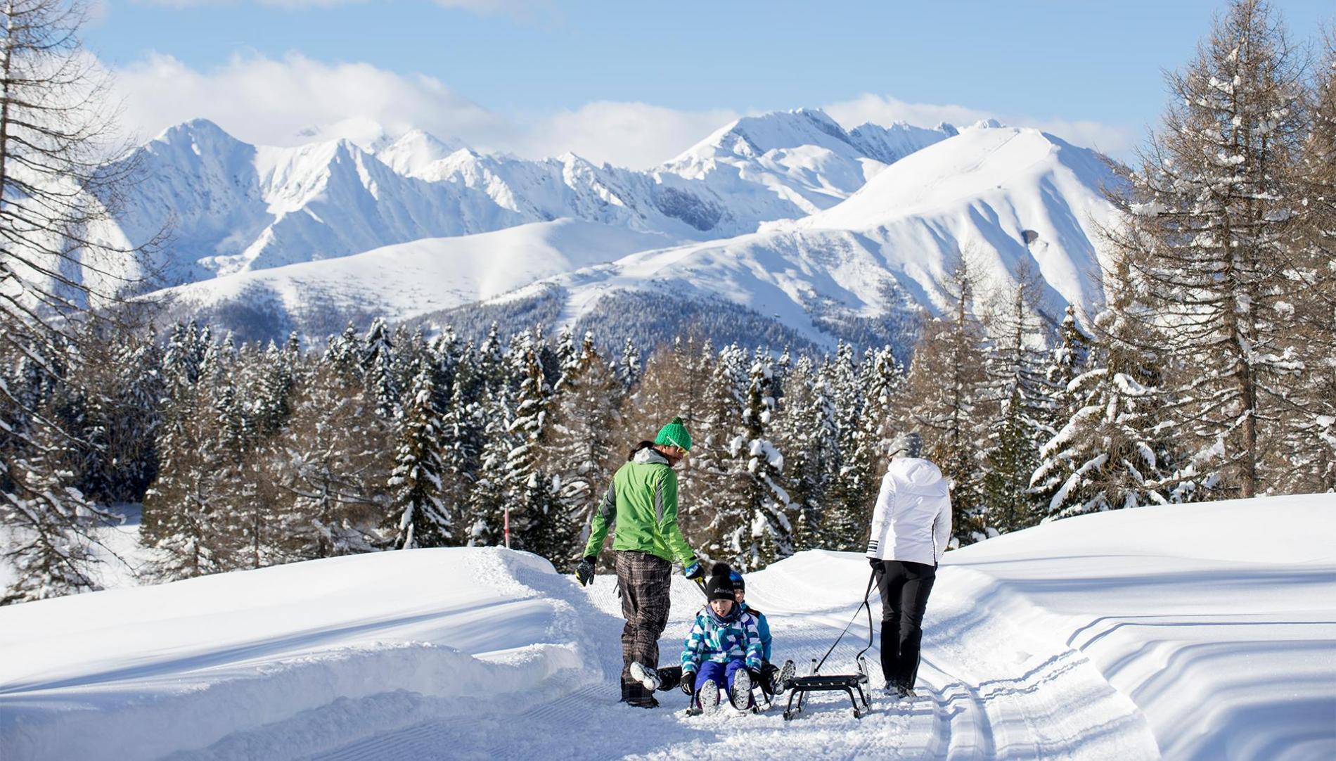 Tobogganing Family