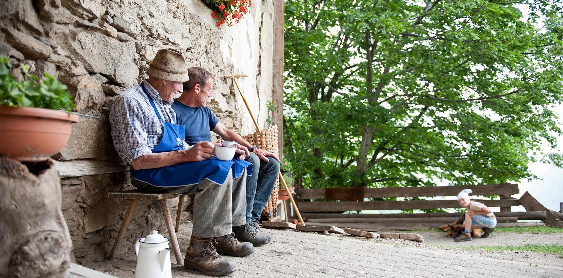 South Tyrolean Farmers