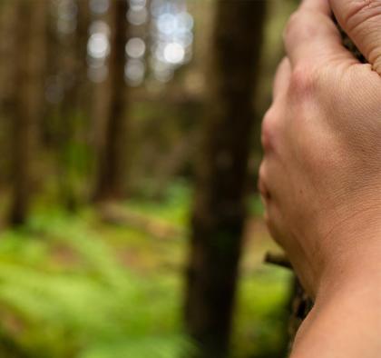 Waldbaden im Altfasstal