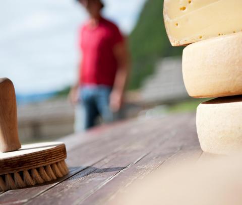 South Tyrolean Cheese