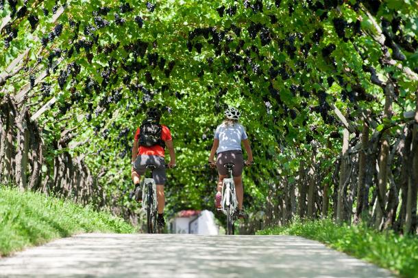 Biken in Südtirol