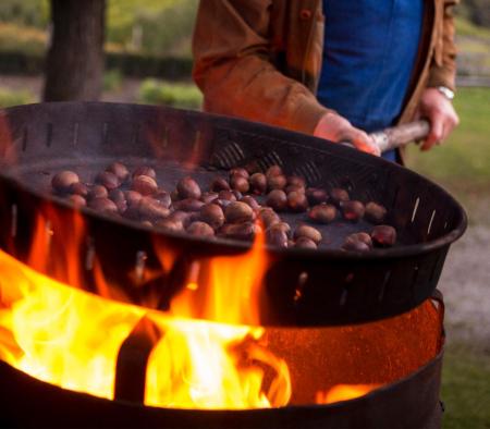 Roasted Chestnuts