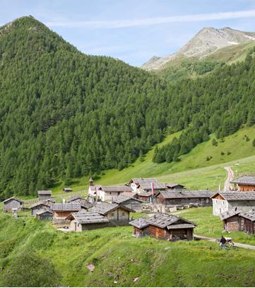 Sommer auf der Alm