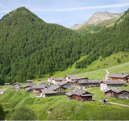 Summer at a Mountain Pasture