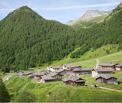 Summer at a Mountain Pasture