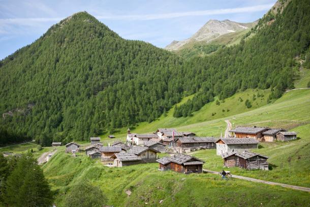 Summer at a Mountain Pasture