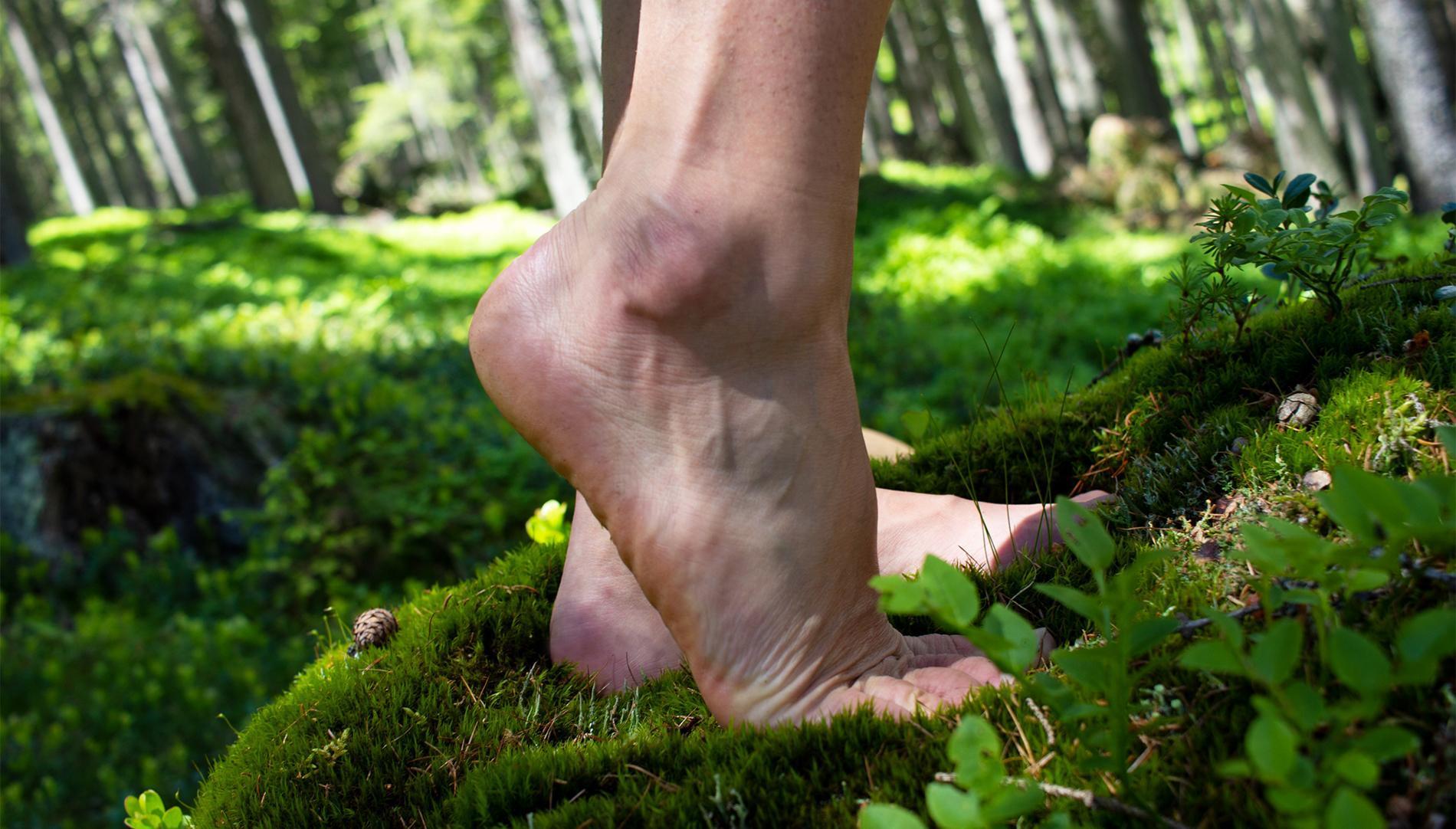 Barefoot in the forest