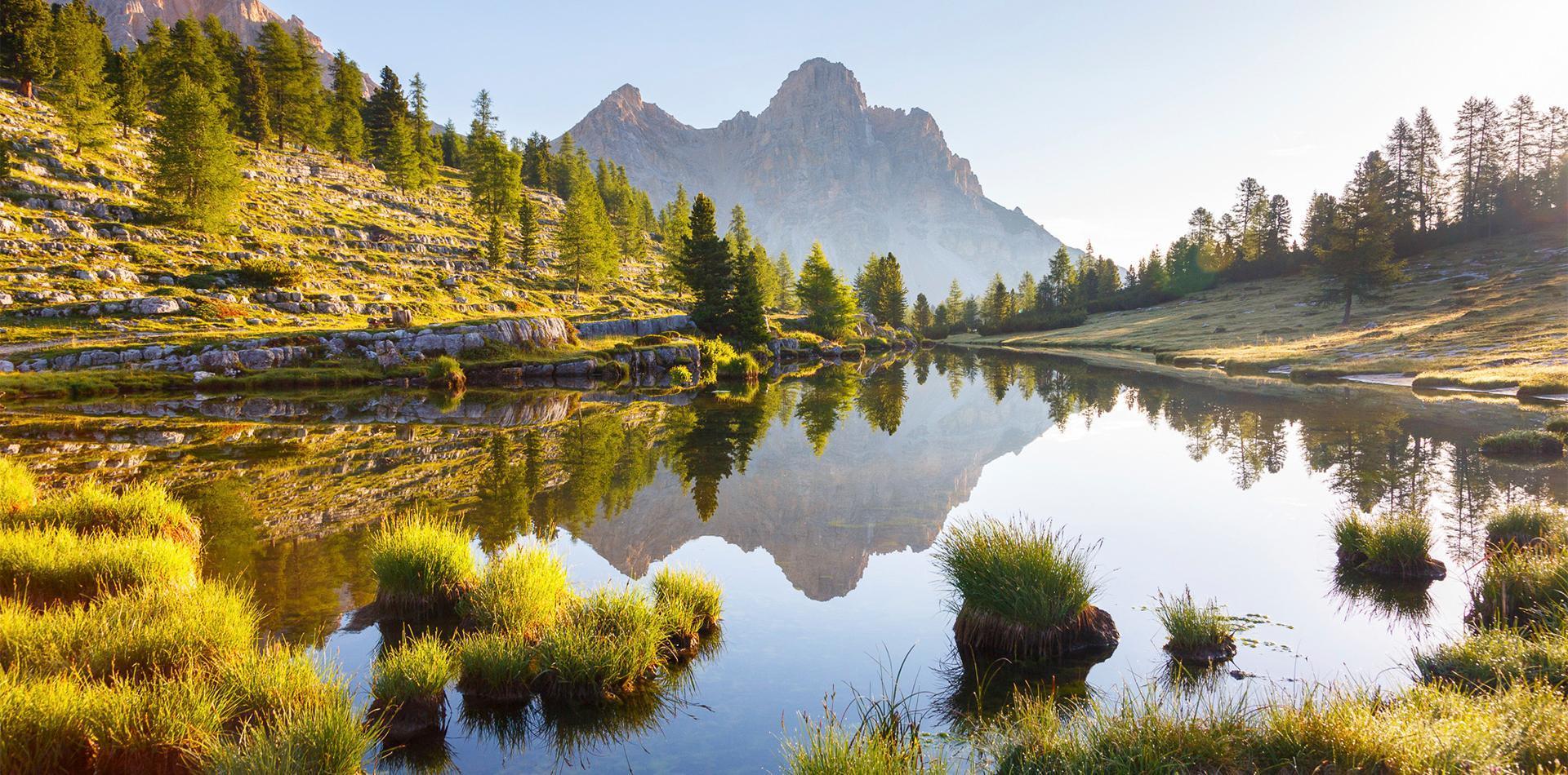 Die Natur erleben